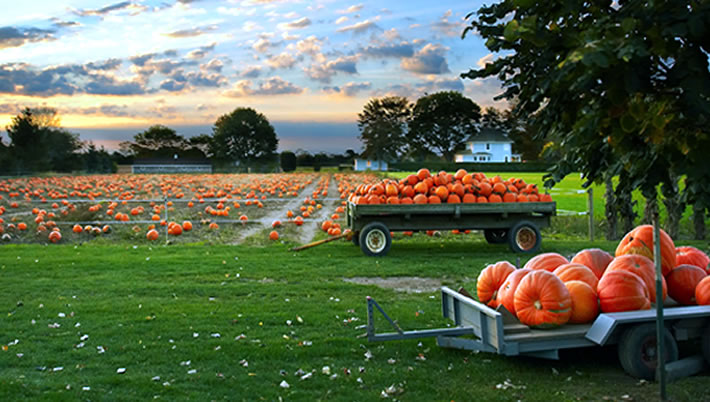 home_header3